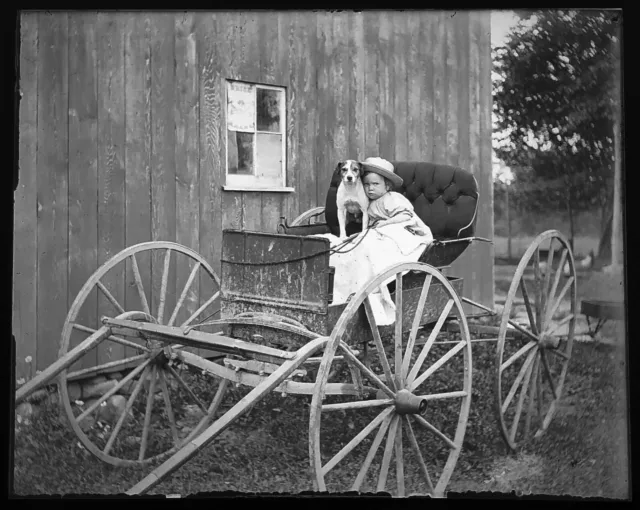 Child Buggy Wagon Pet Dog Antique Victorian Photo GLASS PLATE Negative Scene