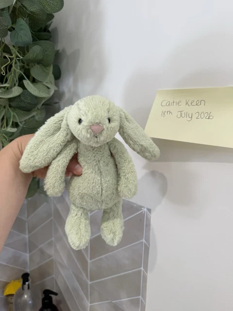 Jellycat Small Kiwi Bashful Bunny Plush Rabbit Soft Toy £12550 