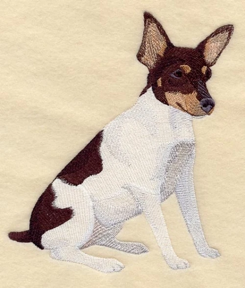Embroidered Long-Sleeved T-Shirt - Toy Fox Terrier C5084 Sizes S - XXL