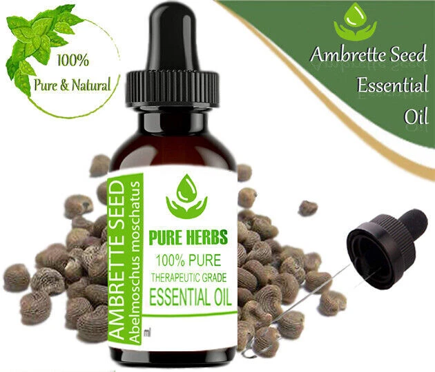 Ambrette Pod PURE HERBS AMBRETTE Grain 100% Naturel Abelmoschus Moschatus Huile EUR ...