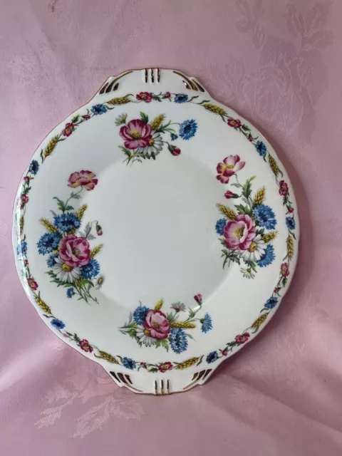 rare antique aynsley field fair bone china england cake plate ✅ 1016 2