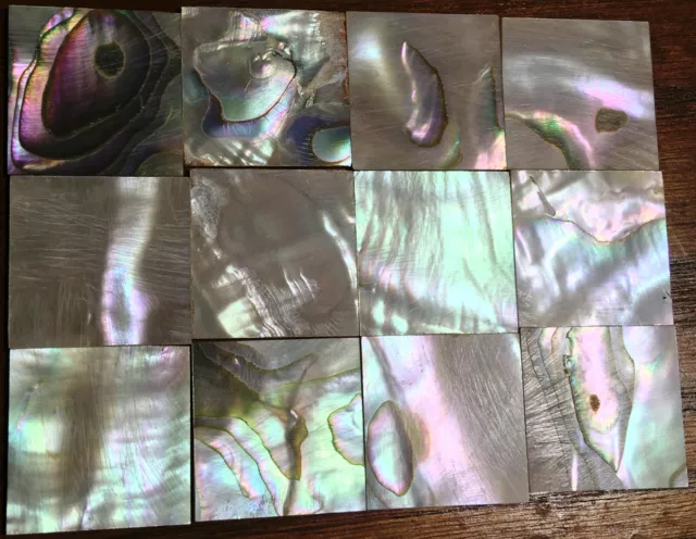 28.9 grams (12pcs) Abalone Fretboard Inlay NOS Gibson Kalamazoo Factory Lot-2 28.9 grams (12pcs) Abalone Fretboard Inlay NOS Gibson Kalamazoo Factory Lot-2
