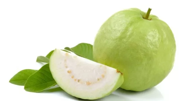 Guava – Thai White, Psidium guajava, 30 seeds