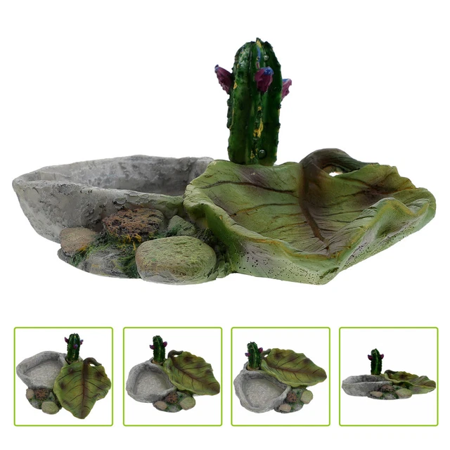 Contenants D'eau Bassin D'eau Pour Reptiles Réservoir De Terrarium Artificiel