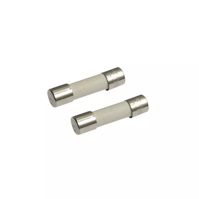 2 x Keramik Feinsicherungen ESKA Träge oder Flink 5x20mm 250V / 2 x Ceramic Fuse