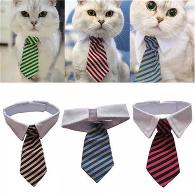 Toilette de Chien Chat Rayé Nœud Papillon Animal Rayé Bowtie Collar Pet Réglable