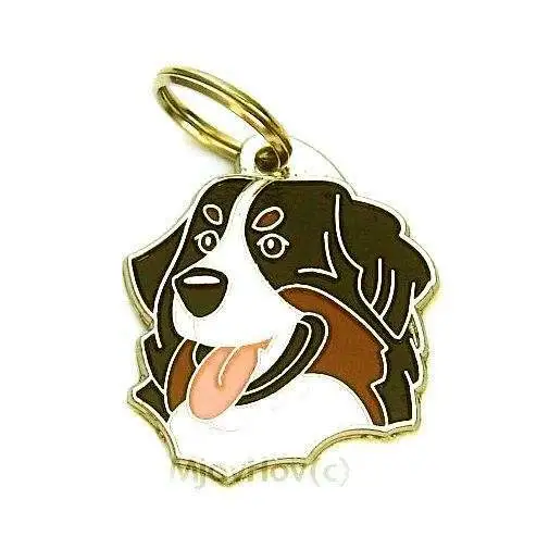 Dog name ID Tag, Bernese mountain dog, Engraved, Personalized, Handmade