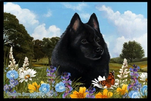 Summer Floor Mat - Schipperke 39101