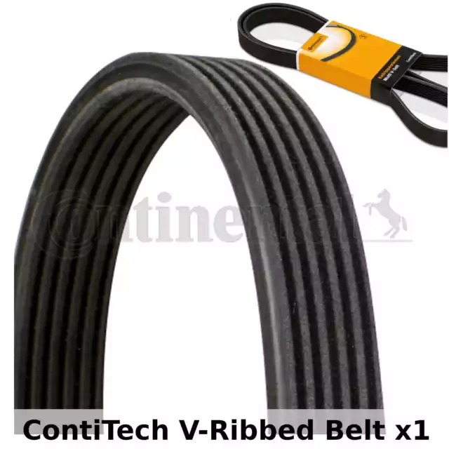 ContiTech V-Ribbed Belt - 6DPK1841 , 6 Ribs - Fan Belt Alternator, Drive Belt