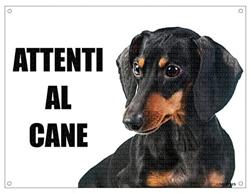 Cartello 'Attenti Al Cane' In Metallo 15x20cm - Targa Personalizzabile - Foto 2