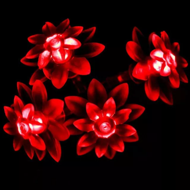 Battery Powered Red Lotus Flower LED Fairy Lights 4M 40LED: ON+Flash for Wedding