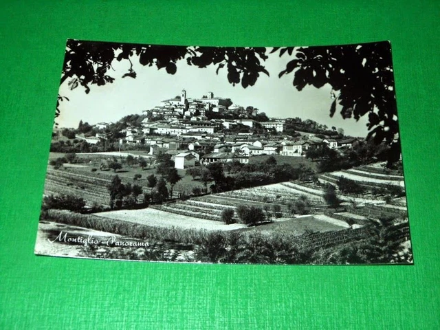 Cartolina Montiglio - Panorama 1955