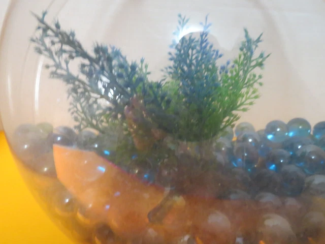Hanging Wall Mounted Fish Bowl Betta Tank Aquarium Wall Decor Plant Fish Bubble 4