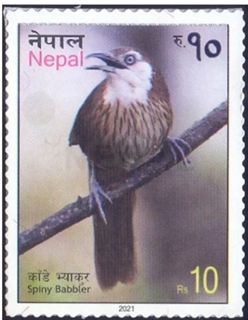 Nepal 2021 Spiny Babbler Birds Bird Fauna Stamp MNH