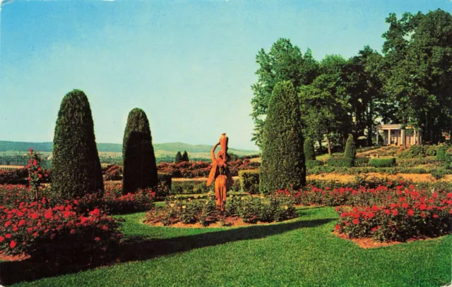 Postcard Chinese Rose Gardens Arboretum Chocolate Town USA,  Hershey, PA Vintage