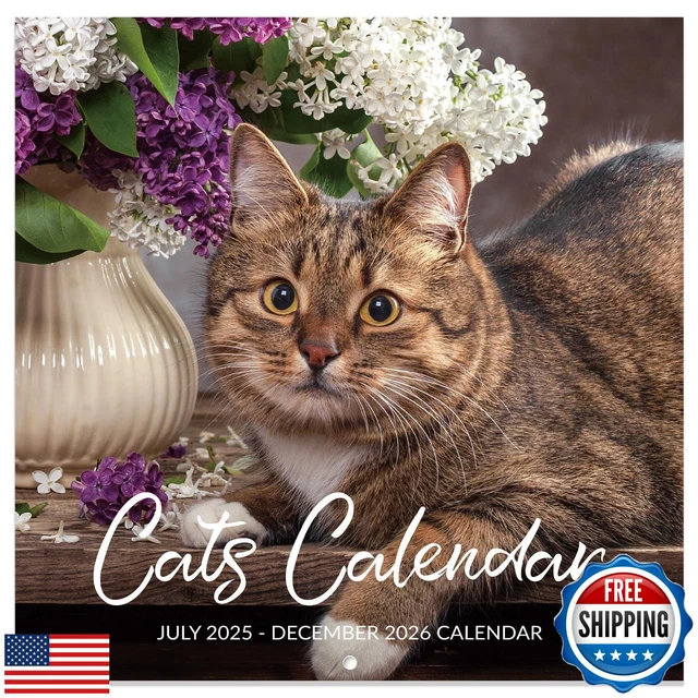 20252026 CALENDAR Wall Calendar 20252026, Jul.2025 Dec.2026, 12