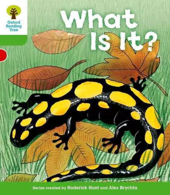 Oxford Reading Tree: Level 2: More Patterned Stories A: What Is It? by Roderick