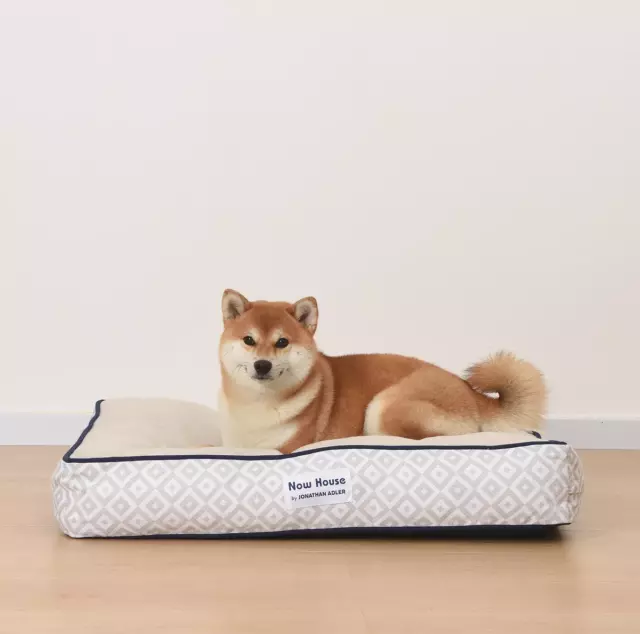 Now House for Pets by Jonathan Adler Grey Diamond Cushion Dog Bed, Medium