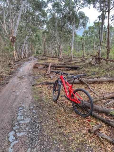 mountain bike