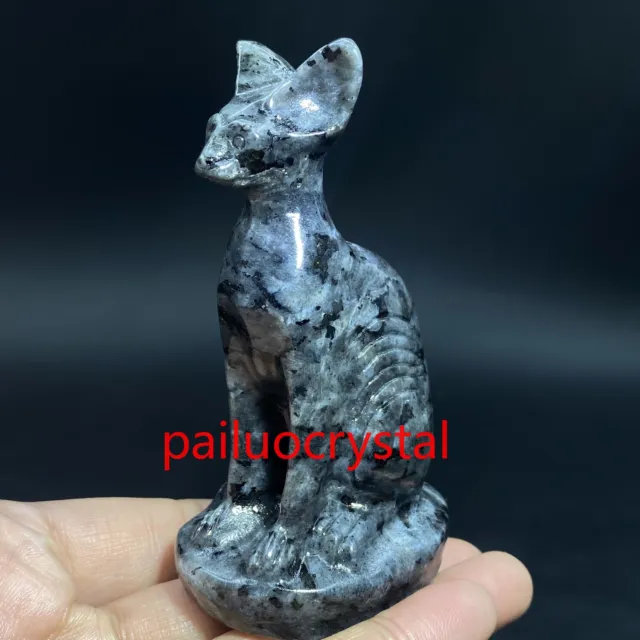 1pc Natural Specctrolite Hairless cat Quartz Crystal Skull Carved Figurines 3"
