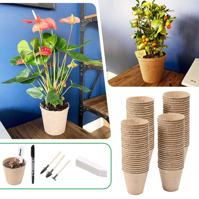 Biodegradable Seedling Kit Pulp Peat Pot Set For Growing  Tools For Gardening