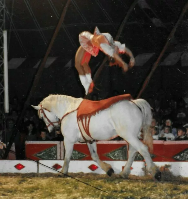 Vintage Chipperfield’s Circus Photo The Richters Act Stirling Acrobat Horse 1991