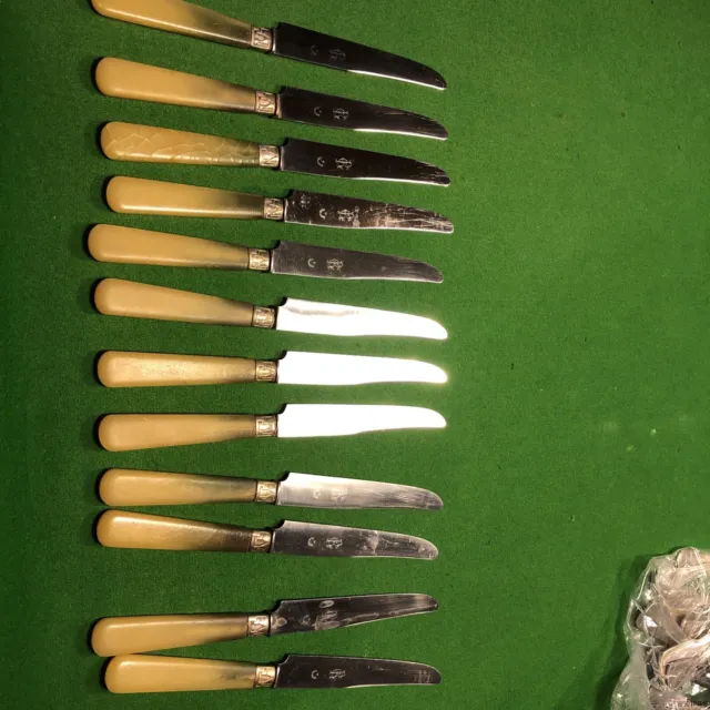 12 Grands & 12 petits couteaux anciens en corne - Le palais des bricoles