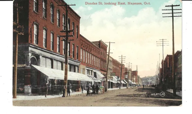 Postcard Dundas Street Looking East Napanee Ontario Canada