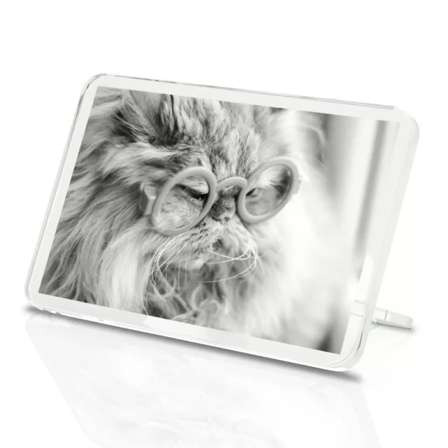 Classic Magnet With Stand - BW - ny Ginger Cat Glasses #39637