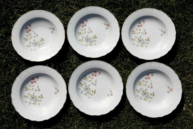 Lot 6 assiettes creuses fleuries porcelaine Royal Tognana Vintage Plates Italy
