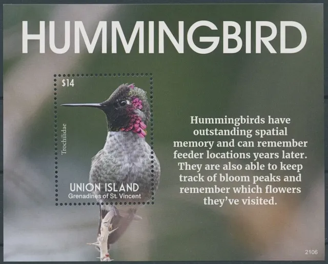 Union Island Gren St Vincent 2021 MNH Birds on Stamps Hummingbirds 1v S/S