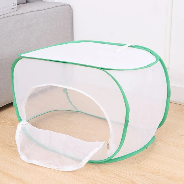 House Small Animal Habitats and Cages Boys Portable Animals