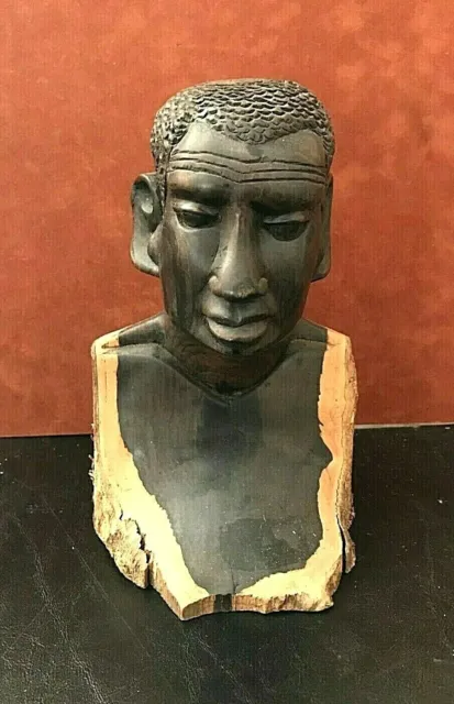 Beautiful Carved Painted Wood Bust African Man w/ Bark Attached ~ 8 1/2" Tall