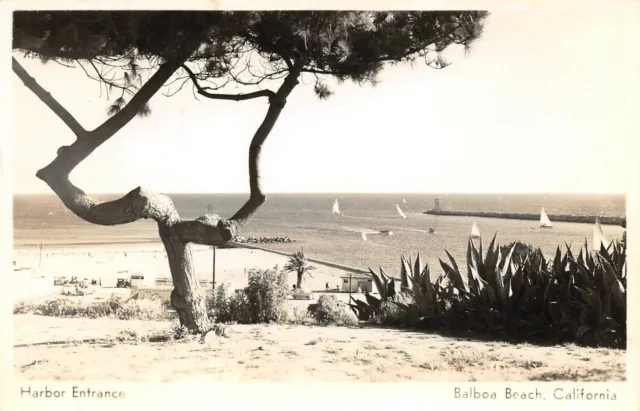Harbor Entrance Sail Boating Scene Balboa Beach ,CA  Vtg 1940's RPPC Postcard