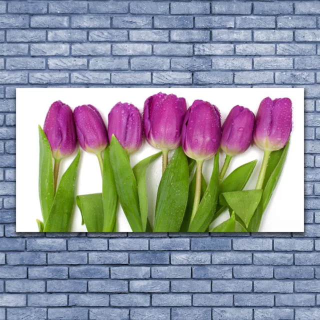 Photo sur toile Image Tableau Impression 140x70 Floral Tulipes