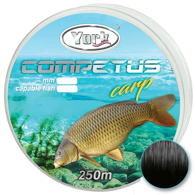 YORK Competus Spin Angelschnur 0,16-0,30mm 150m | Made In Germany | Für Spinning
