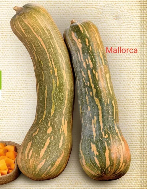 semillas de calabaza 2