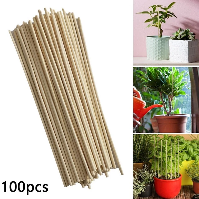 300 Clip Per Piante Da Orto - Supporti Per Pomodori E Piante Rampicanti - Foto 9