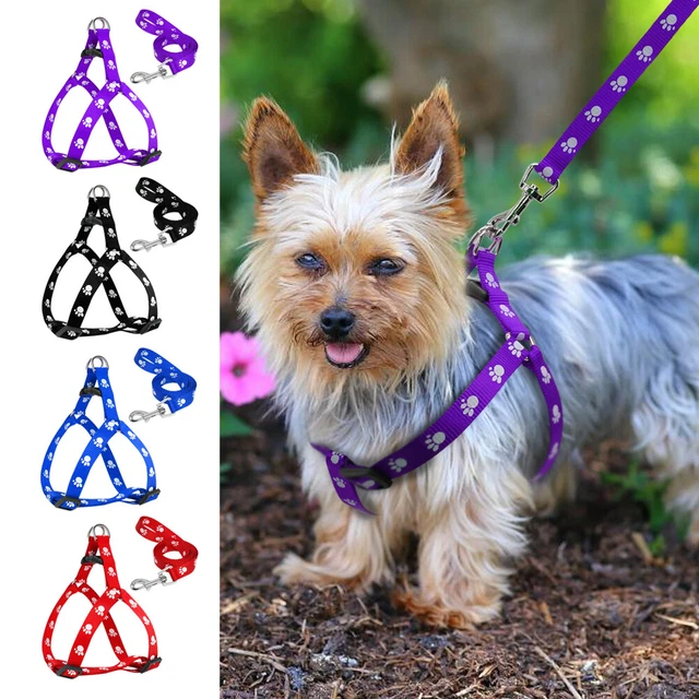 Atmungsaktives Hundegeschirr Mit Reflektor – Schritt-in-Design, Verstellbar, Für Kleine & Mittlere Hunde