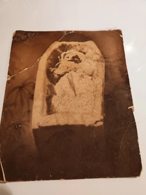 Original 19th Century Post Mortem Photo Of Infant Baby child  coffin Photograph