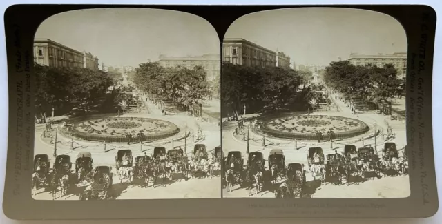 Ägypten Alexandria Platz Méhémet Ali 1901 Foto Stereo Vintage P81L9n15