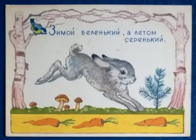 1962 SOVIET POSTCARD rabbit hare carrot mushrooms riddle Dudnikov an 084a