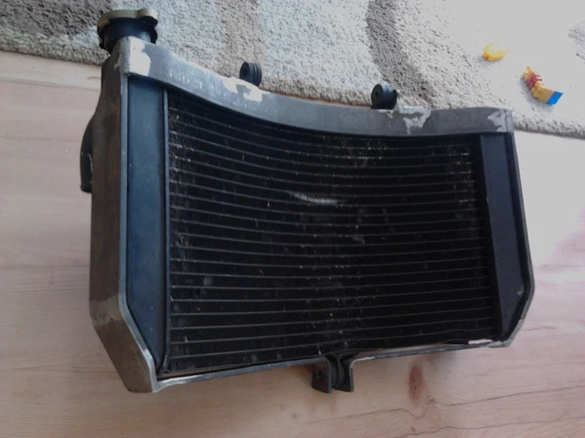 Radiator Cage, protector, guard STUNT - HONDA CBR F4,F4I,F4ISport . Radiator Cage, protector, guard STUNT - HONDA CBR F4,F4I,F4ISport .