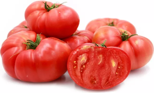 Tomato Brandywine Eden Seeds Non Hybrid Open Pollinated Old Traditional