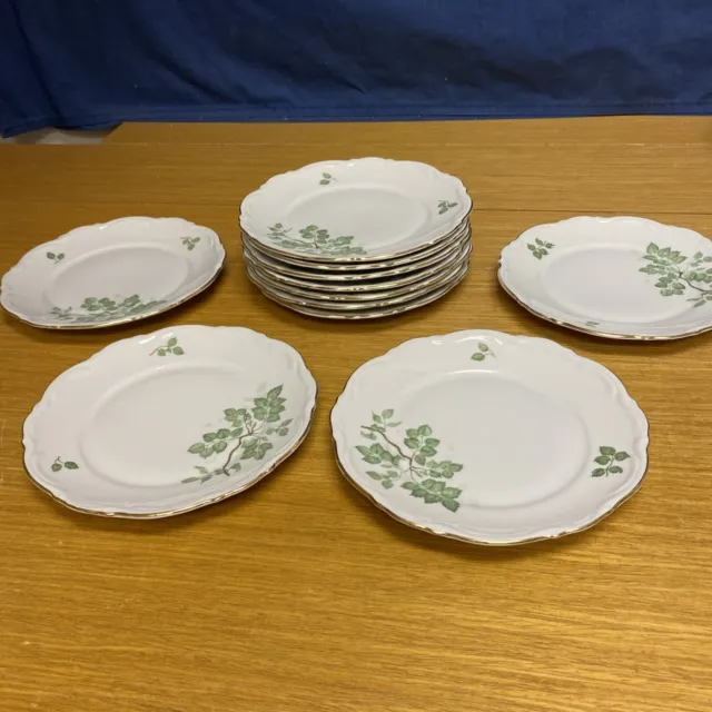 11 Vintage Mitterteich Bavaria Green Leaves Germany 6 5/8” Bread Plates