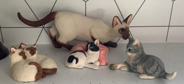 Sherratt And Simpson Siamese And Other Cats