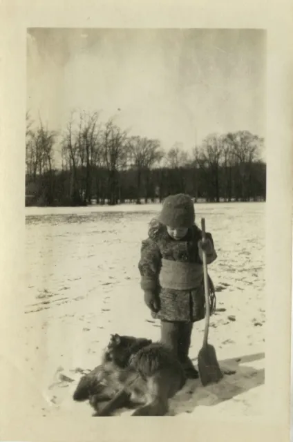 Photo Ancienne - Vintage Snapshot - Enfant Chien Neige Pelle - Child Dog Snow