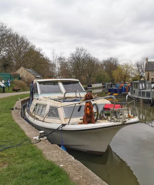 Family 4 berth boat . Sterling Sabre 28 River Cruiser motor cruiser boat motor