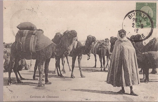 Cpa Tunisie.caravane De Chameaux.n°335. Animee /.Ecrite En 1912.Tbe.