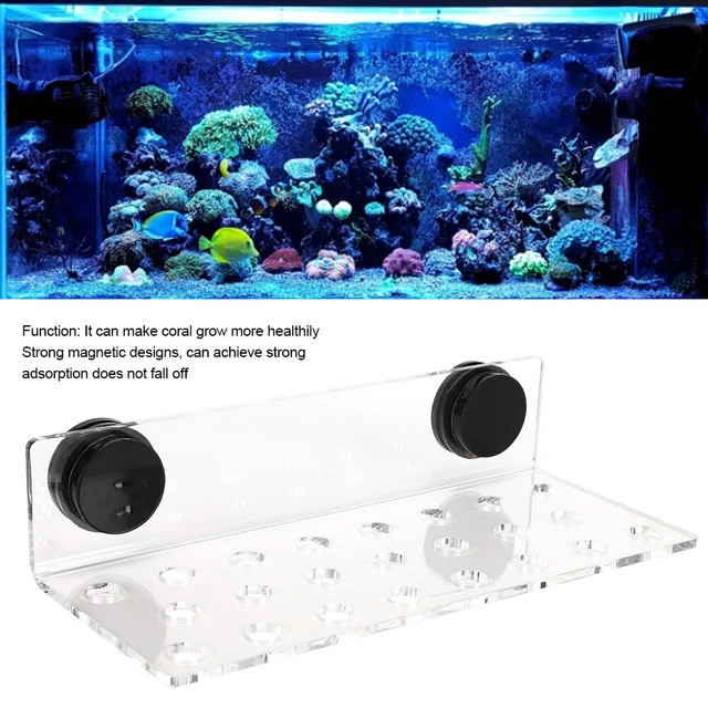 Aquarium Fish Tank Coral Rack Bracket Acrylic Strong Suction Coral Frag Rack